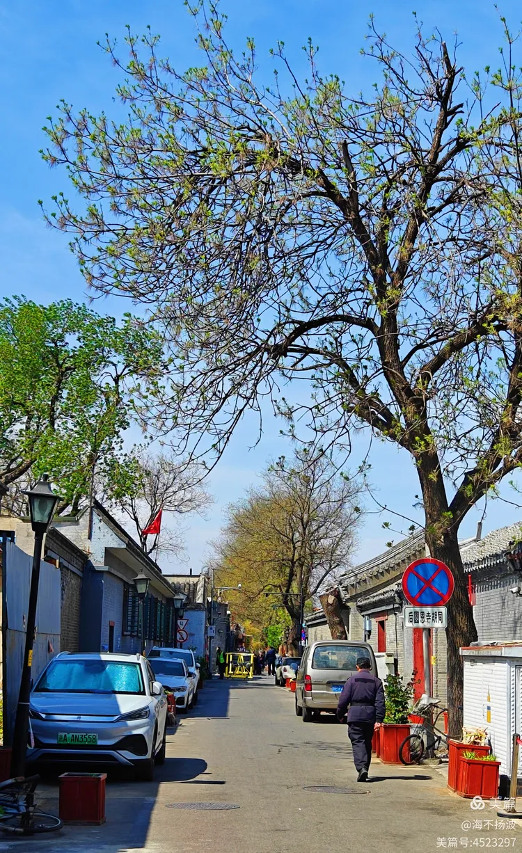 菊儿胡同,后圆恩寺胡同